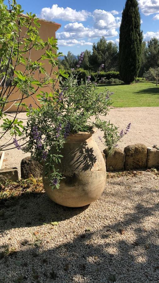 Le Mas Des Pignes -Adults Only Aix-en-Provence Exterior foto